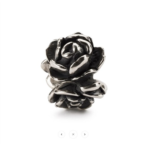 100469 5711246150521 TAGBE-00274 rosa d'amore