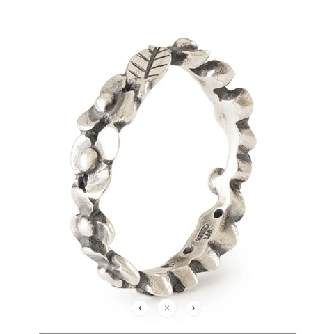 100478 5711246190428 TAGRI-00555 anello fiori selvatici 54 mm