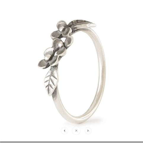 100479 5711246190541 TAGRI-00567 anello grazia dei fiori 54 mm