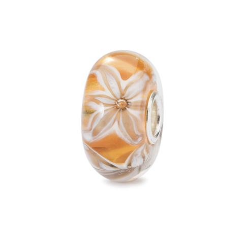 82374 5711246103978 TGLBE-10437 FIORE DI GRAZIA