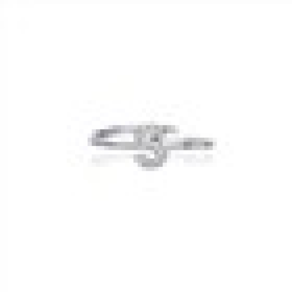 rbs99543f.jpg